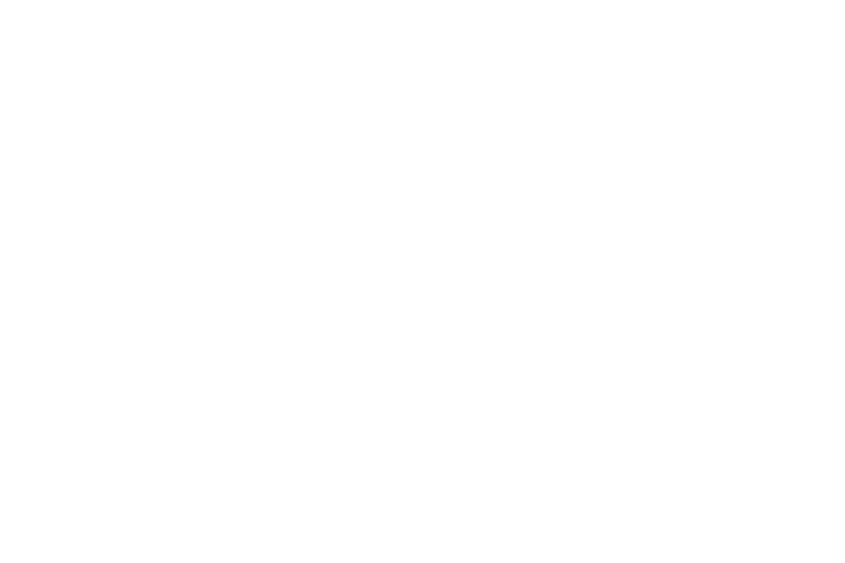 Enjoy a Totally Wonderful Christmas with TWC
